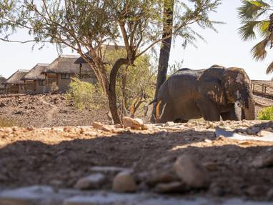 PALMWAG_-_STANDARD_ROOMS-min