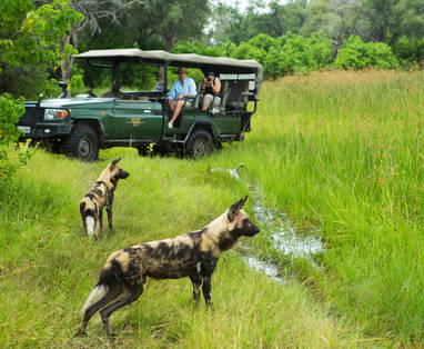 safari bij Selinda Camp in Botswana