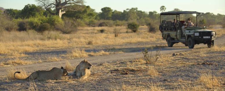 Safari bij Jabali Ridge in Tanzania