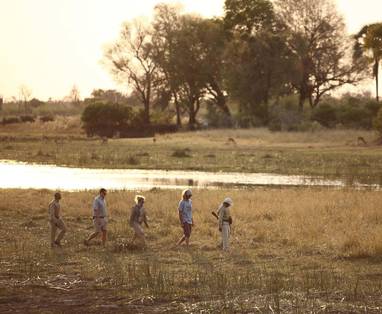 wandelsafari bij Sandibe lodge in Botswana
