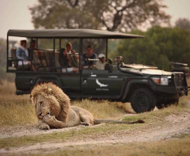 safari bij Sandibe lodge in Botswana