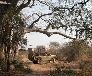 Game_Drives_at_Jongomero