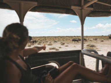 4x4 safari met wild bij Etosha Safari Lodge in Namibië