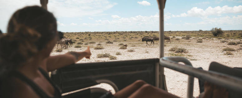 4x4 safari met wild bij Etosha Safari Lodge in Namibië