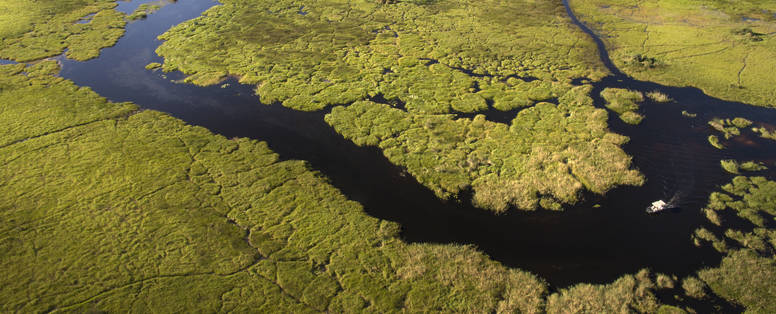 Duba_Plains_Camp_natuur