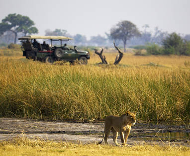 Duba_Plains_Camp_safari