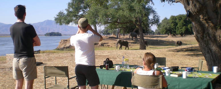 oog in oog met het wild bij Camp Zambezi in Namibië
