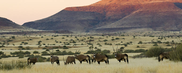 palmwag concessie tijdens de privé safari in Namibië