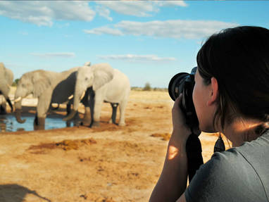 Nxai_Pan_Camp_dieren