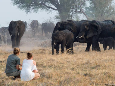 wandelsafari bij Nambwa tented lodge