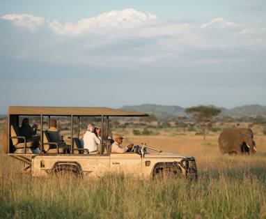 Game drive olifant spotten bij Faru Faru lodge in Tanzania