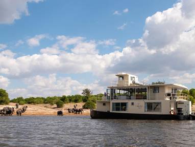 chobe princess met olifanten