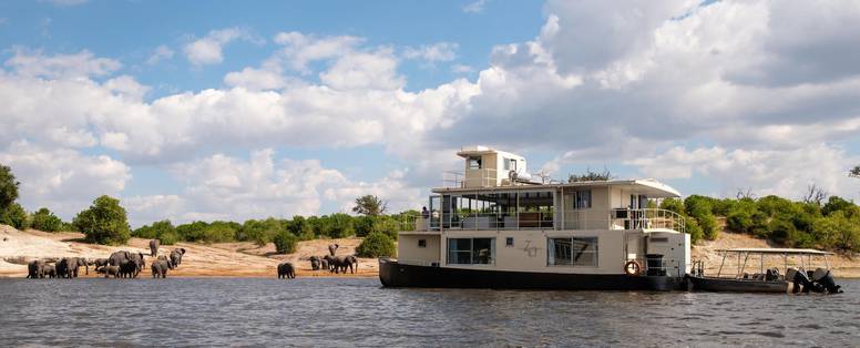chobe princess met olifanten