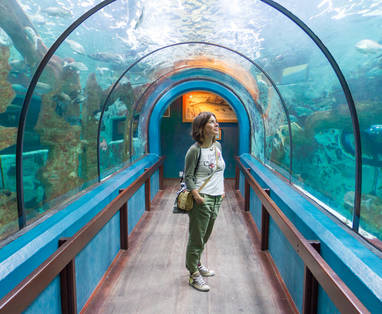 Activiteit in Swakopmund