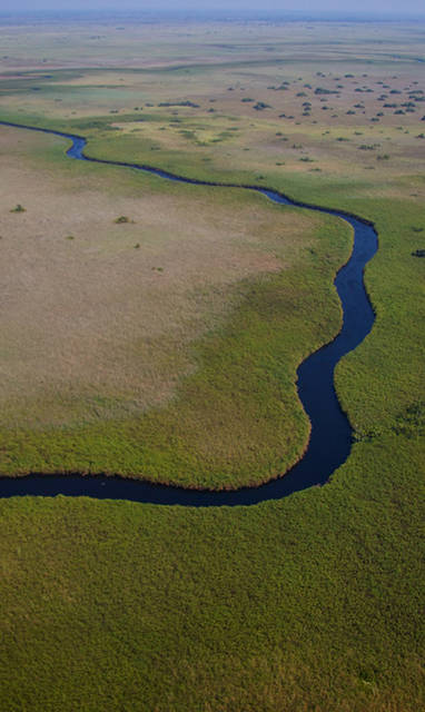 Duba_plains_camp_rivier