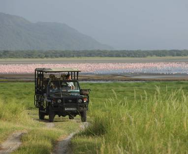 Autosafari bij Lake Manyara