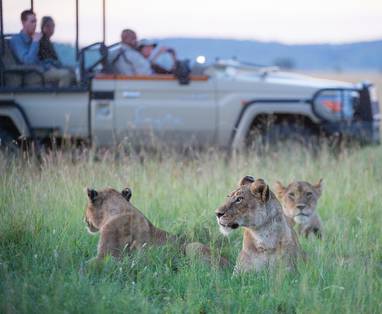 Singita Sabora Tented Camp gamedrive