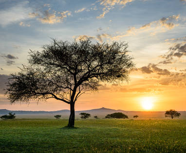 Singita Sabora Tented Camp zonsondergang