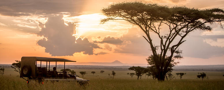 Safari bij zonsondergang in Singita Grumeti Reserve van de Serengeti