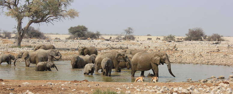 drinkplaat bij oberland lodge