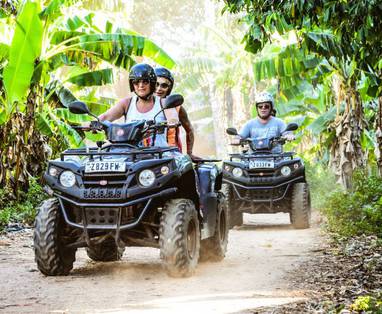 Zanzibar_Tulia__Quat