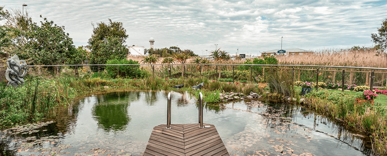 eco-zwembad bij hotel verde in kaapstad