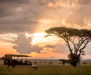 Singita_Sasakwa_Lodge_safari