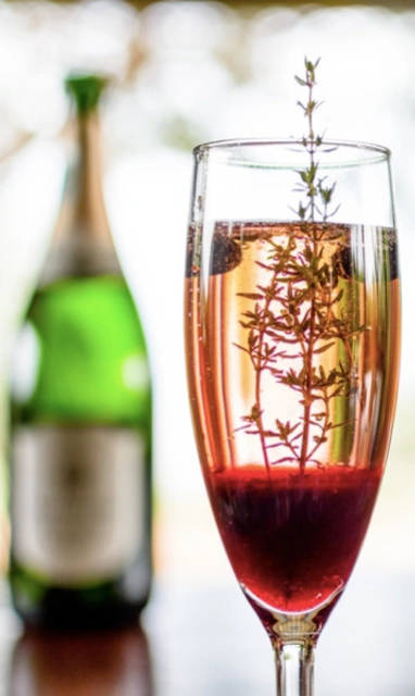 Singita_Mara_River__Dranken