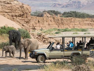 Safari tussen de olifanten bij Damaraland Camp in Namibië