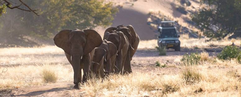 safari bij Damaraland Camp in Namibië