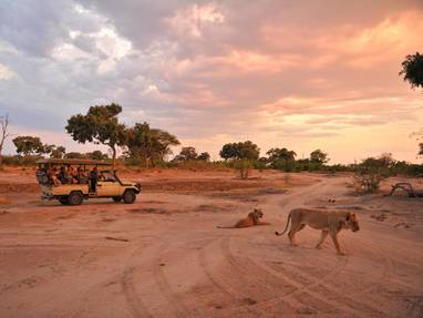  safari bij Somalisa camp in Zimbabwe