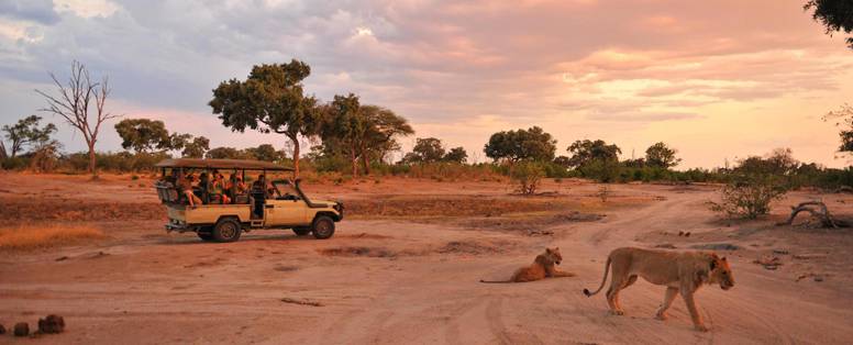  safari bij Somalisa camp in Zimbabwe