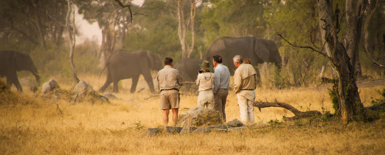 wandelsafari bij the hide in zimbabwe