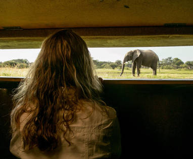 ondergrondse uitkijk bij The Hide in Zimbabwe