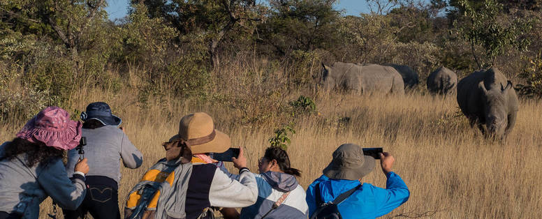 Guests_watching_a_small_herd_of_white_rhino