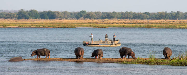 Chiawa_Camp__bootsafari