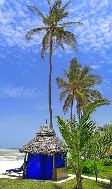 The_Palms__palmbomen