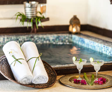 The_Palms__plungepool