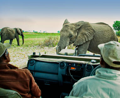 Lebala_Camp_safari