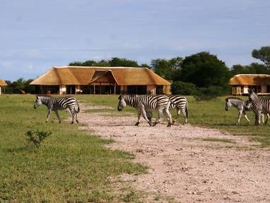 Nxai_Pan_Camp_Zebra