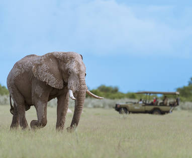 Nxai_Pan_Camp_olifanten_3