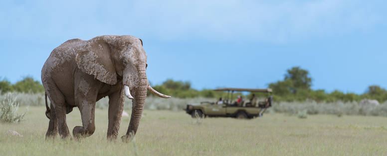 Nxai_Pan_Camp_olifanten_3