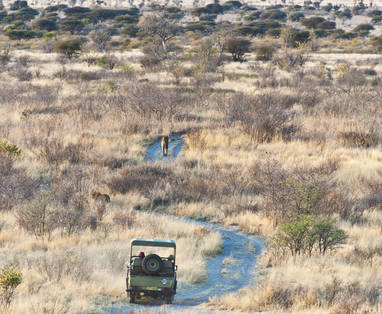 Tau_Pan_Camp_wild