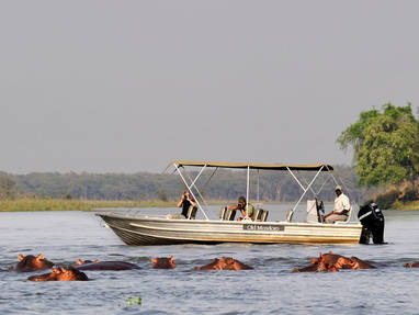 bootsafari lower zambezi  in zambia
