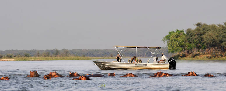 bootsafari lower zambezi  in zambia