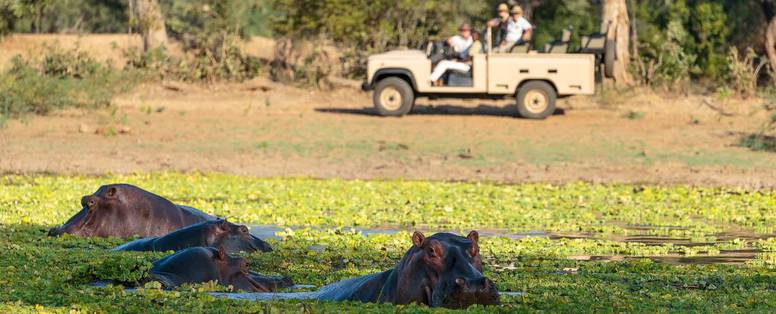  4x4 safari bij Nkonzi Camp in zambia