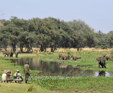 OM_walk_eles_lagoon_scene
