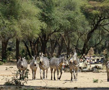 4x4 safari rondom zambezi