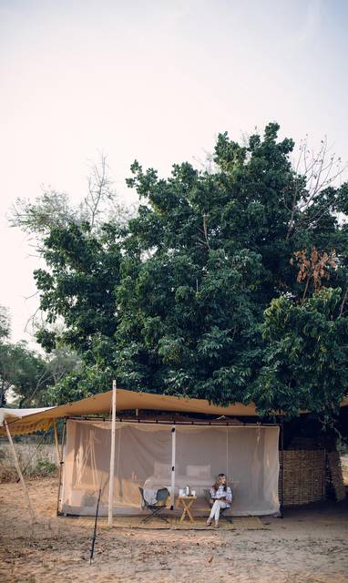 tent onder boom bij Tusk & mane in Zambia