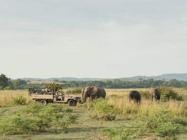 safari bij Kafunta in Zambia